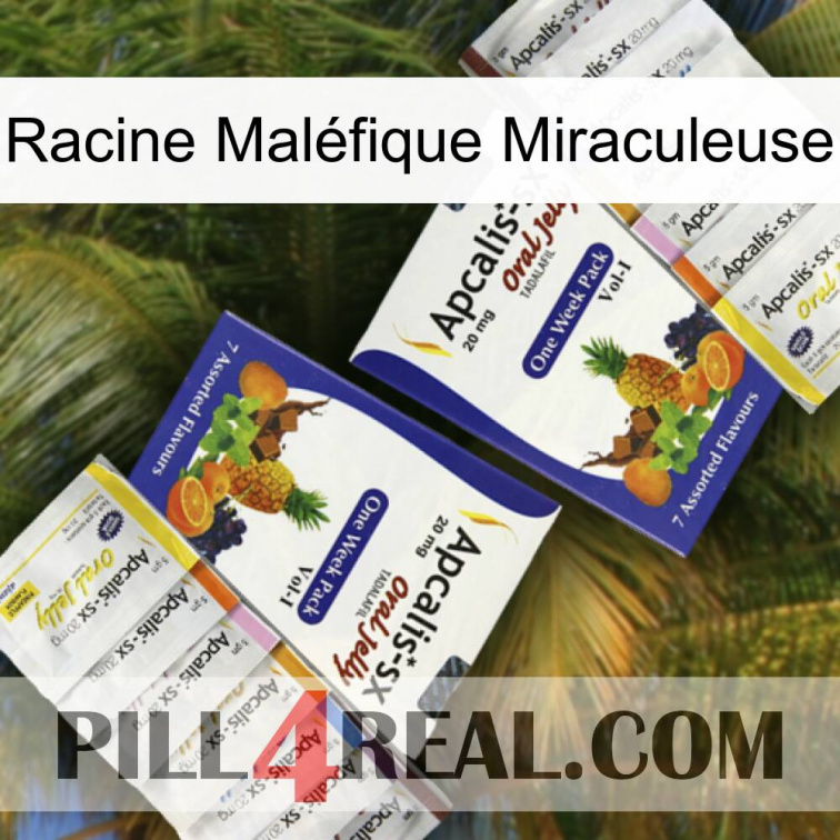Racine Maléfique Miraculeuse 12
